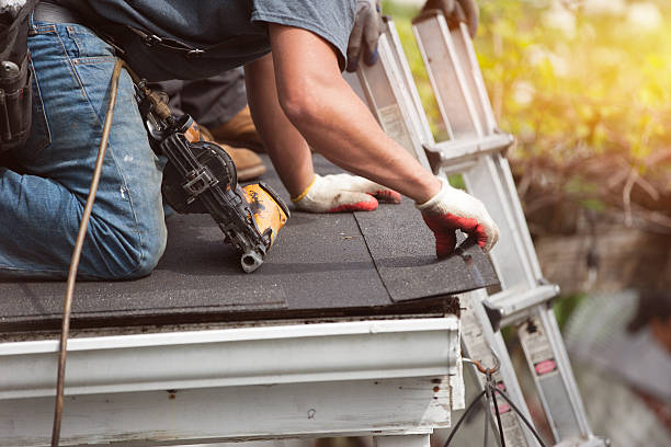 Best Shingle Roofing Installation  in Lake Belvedere Estates, FL